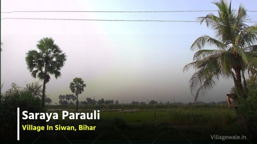 Saraya Parauli Village Saraya Parauli Village