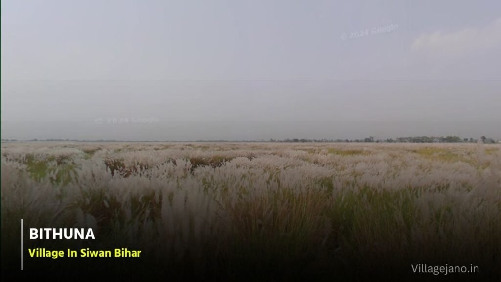 Sapahi Khurd Village